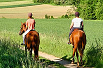 Equitation à  Seyssel et Bassy en Haute Savoie